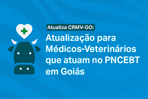 Imagem vinculada ao evento